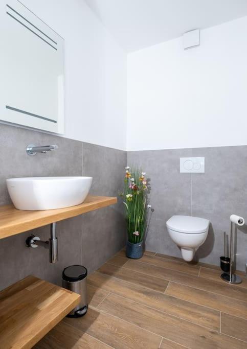 Ferienhaus Mountain View Six50 Mit Sauna Und Kamin In St. Andreasberg Sankt Andreasberg Exteriör bild