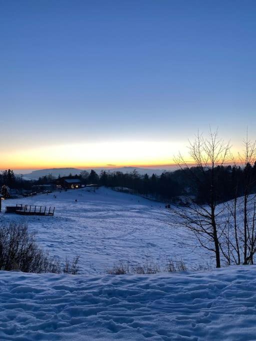 Ferienhaus Mountain View Six50 Mit Sauna Und Kamin In St. Andreasberg Sankt Andreasberg Exteriör bild